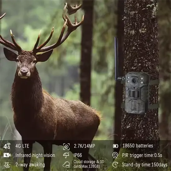 H2 napelemes 4G vadkamera