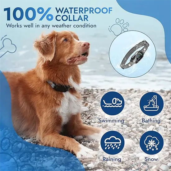 Ugatásgátló kutyanyakörv rezgéssel és hangjelzéssel