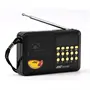 Mini FM rádió YG-011AR